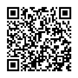 心中想着一定要将这两个有眼无珠的家伙猿揍一翻二维码生成