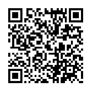 心中日曜洗练的技能还没有来得及发动出来……二维码生成