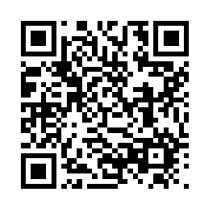 心中早已将他认定为亲人一般的存在二维码生成