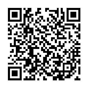 心中早已急不可耐的剑尘便立即从大树上一跃而下二维码生成