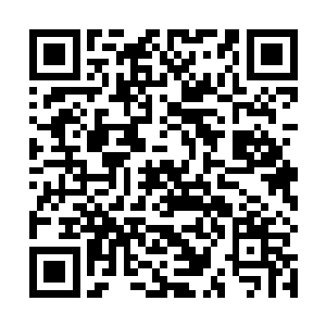 心中深处不由自主的滋生出一种保护眼前这名可爱善良二维码生成