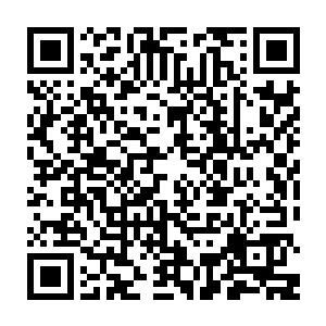 心中清楚凭借着混乱人尊后期的修为还真未必是地尊后期巅峰的落阳的对手二维码生成