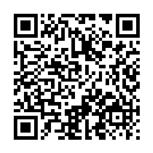 心中琢磨着和这个刚刚飞升的人身上勒索点儿东西二维码生成