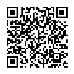 心中真正是感叹难怪这老爷子能引领夏侯家走到今天二维码生成