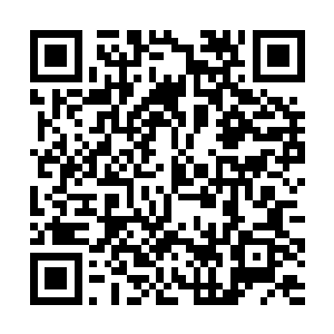 心中自然而然在想着这是否就是那苏狂徒的执掌之鼎二维码生成