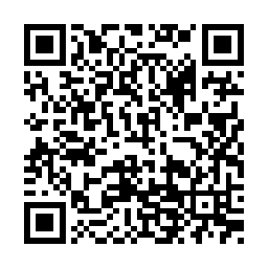心中说不准也是为了冲击八劫真神才压制修为的二维码生成