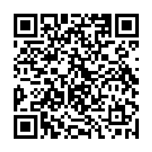 心中迅速地计算着对方仙君还需要多少时间释放仙术二维码生成