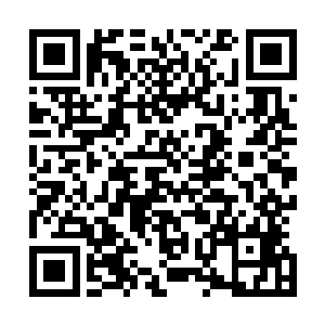 心中还是不免心酸……如果自己也是小落分队的一员就好了二维码生成