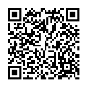 心中非常担心会寻不到玄黄灵液以及龙神至尊果二维码生成