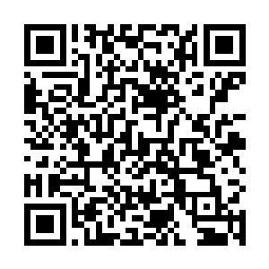 心境上的变化会使得叶尊以后的武道之途变得更加坚毅二维码生成