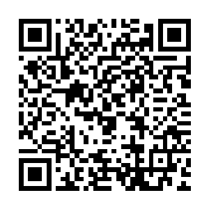 心属蛇派原掌门楚天成的蛇派弟子即刻朝着阿福和石田身边靠拢二维码生成