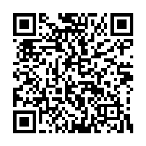 心底却没有怀疑这一切都是沐随风背着他交代的二维码生成