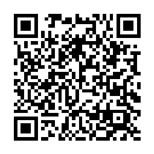 心情大好的他自然不介意替不能开口的跳鼠抱打不平二维码生成