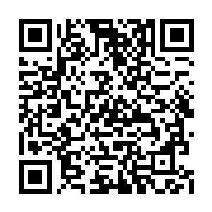 心情特别好的默大人当众传授了棉花的相关知识二维码生成