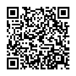 心想也许这只是这具身体前主人与自己大哥之间比较亲厚吧二维码生成