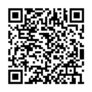 心想真不愧是传说中最喜欢珠宝晶石的玄霜巨龙二维码生成