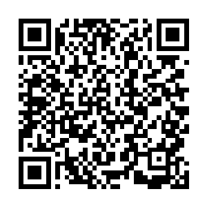 心想等我打败这个所谓的风教官你们就知道到底谁厉害了二维码生成