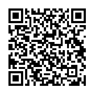 心想要是能够让华夏九看看它如今取得的成绩该多好二维码生成