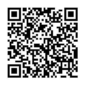 心想这赞布尔到底有什么魅力竟然能让胡莲大祭司一眼看中二维码生成