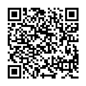 心想难道这些文字就是叶家始祖得到镇压至尊意的手段二维码生成