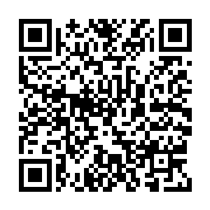 心疼的叶王氏和叶老夫人连忙上前来拉住叶文华二维码生成