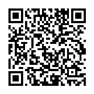 心知天星城皇帝秦逆流多年來都是醉心于武学世界二维码生成