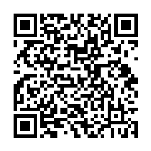 心知萱若的喜悦之色并非是为了安慰众人而伪装的二维码生成