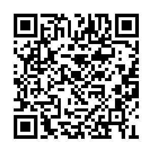 心细地发现了一个以往从不曾留意过的细小规律二维码生成