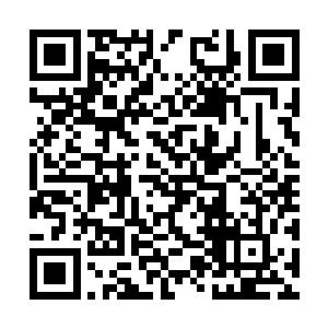 心血来潮的时候还会给她就这文件的内容讲上几句二维码生成