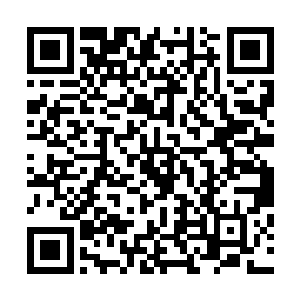 心血管疾病可是威胁到人类群体的一个非常庞大的疾病体系二维码生成