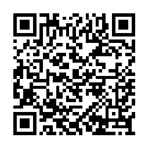 心说看样子这位小姐的智慧似乎不在秦哥之下呀二维码生成