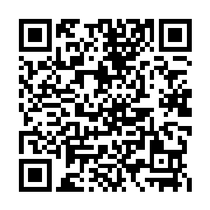 心软的楚先生总会笑眯眯的买下她们船舱里的鱼二维码生成