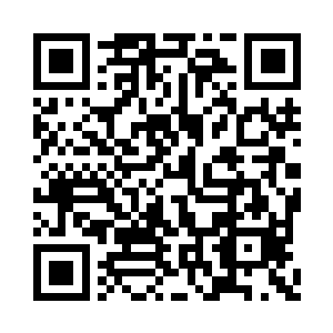 心道不管不顾地留下了自己的两个储物箱之后二维码生成