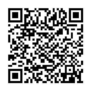 心道池佳一这个小年轻估计被贾老六打断了胸骨二维码生成