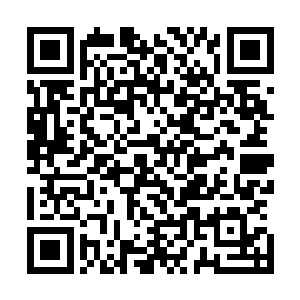 心里头不禁想起那日李望川带着他飞上仙来峰绝顶的情形来二维码生成