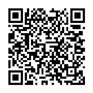 心里对护国公主这位同乡真真是佩服的五体投地了二维码生成