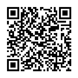 心里开心顺手就从空间里摸出了一个桃子边走边啃二维码生成