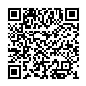 心里想着待会自己该如何折磨这不知死活的家伙二维码生成