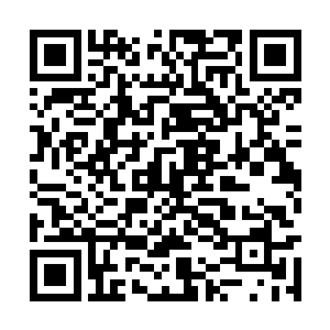 心里极为不满萧黎留下一句简简单单的话就决定了二维码生成