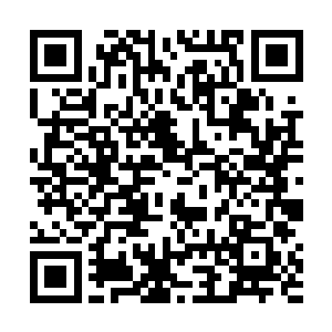 心里的小担忧解除了的贝海无视的面前美国棒槌的鄙视二维码生成