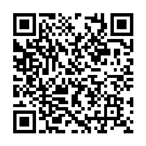 心里的怒气因为苏小爱崇拜的话语和眼神消了很多二维码生成