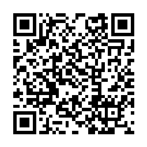 心里盘算着若是把这四象天傀给带在身边该多好啊二维码生成