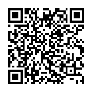 心里盘算着要是遇见人就好好问问这究竟是什么地方二维码生成