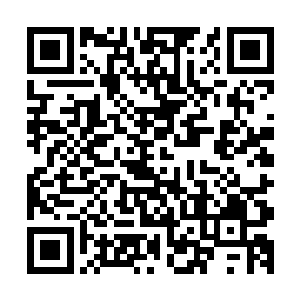 心里知道这是修成了灵犀返照大衍神术前三层境界才有的力量二维码生成