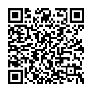 心里还因为他刚才那句陆太太而狠狠地跳动……二维码生成