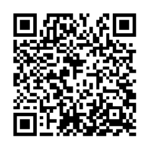 心里面在亲切地问候出卷老师的十八代直系亲属了二维码生成
