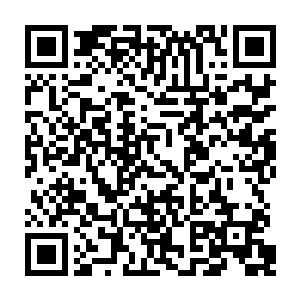 心里面对这个堪称祖奶奶级别的女孩子有了一种不知道该怎么去形容的怜悯二维码生成