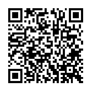 心里面的难受不是他这个无情医者对病患该有的疼惜情愫二维码生成