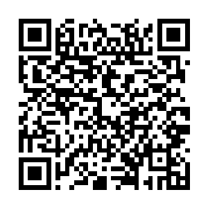 必会马不停蹄亲自领着家族精锐势力赶到公子面前二维码生成