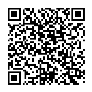 必将引爆出更可怕的变故……就算是强大如归真阁……也未必会是君主阁的对手二维码生成